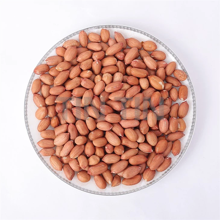 Biji Kacang Tanah