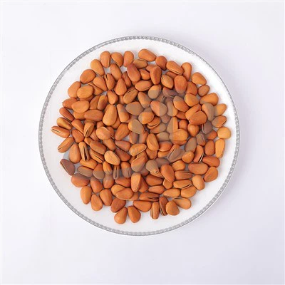 Kacang Pine Terbuka Goreng