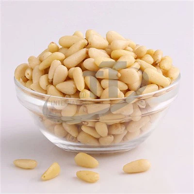 Inti Kacang Pine