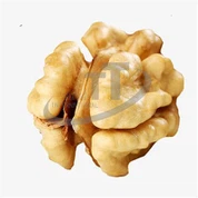 Inti Walnut