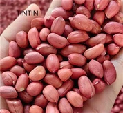 Pembekal Inti Kacang Kulit Merah Cina