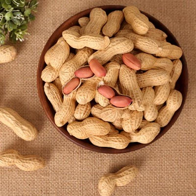 Kacang Panggang Cina yang Sihat Dan Lazat dalam Tempurung