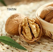 Jualan Panas Kenari Mentah Asli dalam Shell Gred Makanan Kacang Walnut Organik Sihat Berkualiti Tinggi Kenari Kering Untuk Dijual Pukal