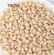 Hot Selling Inti Kacang Putih Berkualiti Tinggi Dan Harga Rendah