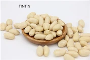 Jualan Panas Inti Kacang Cina Blanched Harga Rendah