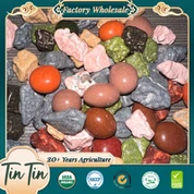 Hot Selling Kualiti Cemerlang Dan Harga Terbaik Coklat Batu Cina