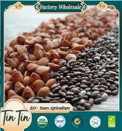 Biji chia premium Mexico