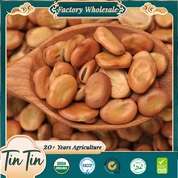 Kacang luas berkualiti tinggi dengan harga yang kompetitif