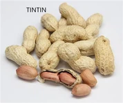 Kualiti Cemerlang, Kacang Panggang Sihat dalam Tempurung