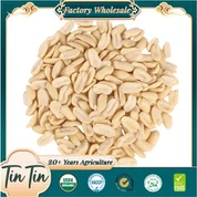 BIJI KACANG BERCAHAYA