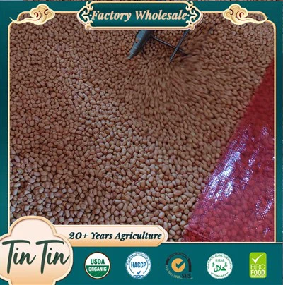 Kacang Panggang Premium 5060 China
