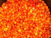 Lentil Merah Untuk Sihat