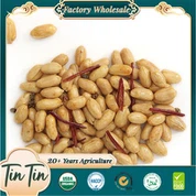 Snek Sihat-kacang pedas dalam tin Cina