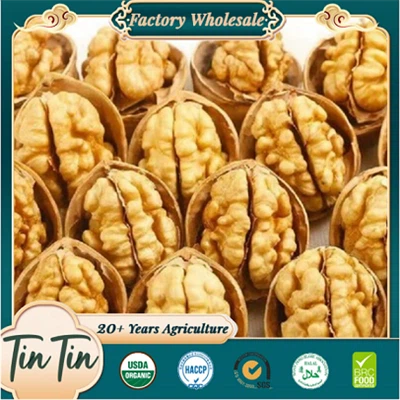 Nutritious Chinese Walnut In Shell