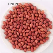 Borong 100% Inti Kering Kacang Kacang Kacang Mentah/Merah Segar