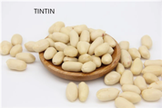 Borong Inti Kacang Cina Blanched