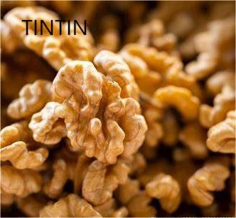 Borong Berkualiti Tinggi Kenari Bercengkeng Organik Buah Kering Bercengkeng Walnut