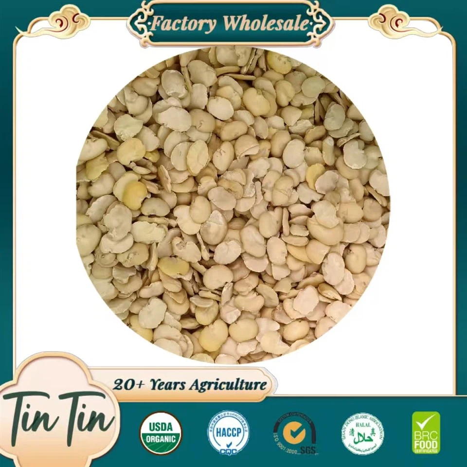 Pisahkan Pukal Kacang Luas Untuk Pemprosesan Makanan